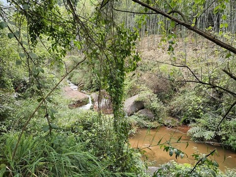 綠水青山