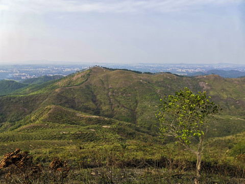 山頂風(fēng)光