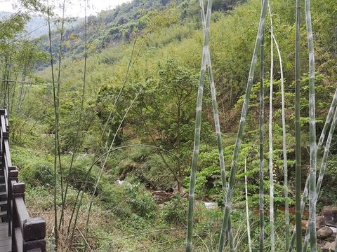 綠水青山