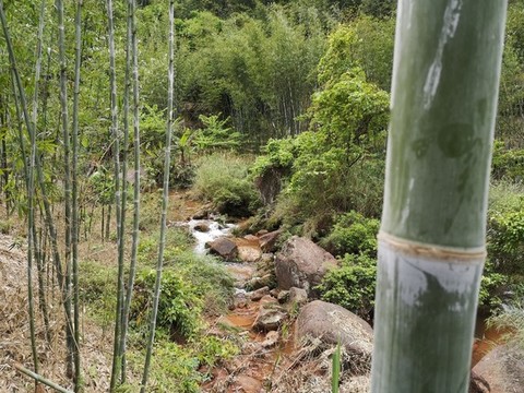 綠水青山
