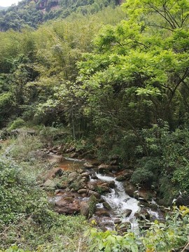 綠水青山