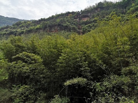 綠水青山