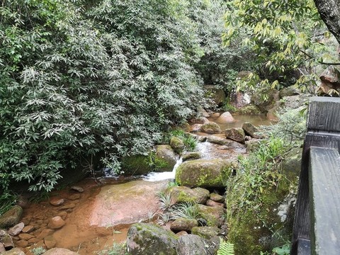 綠水青山