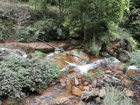綠水青山