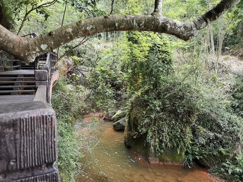 綠水青山