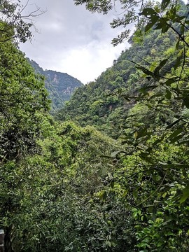 綠水青山