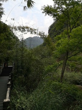 棧道