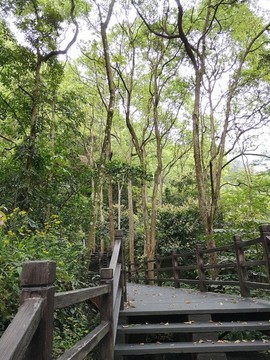 棧道