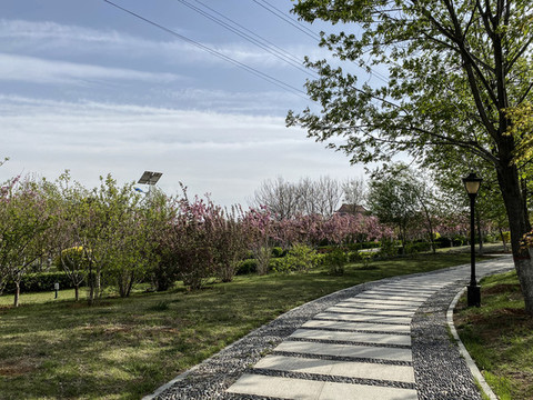 公園里