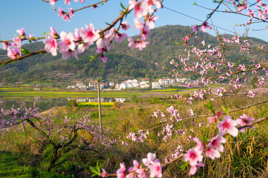 湖北黃石沼山森林公園春季風(fēng)光