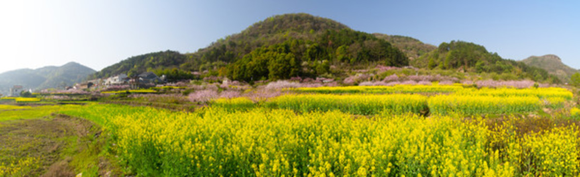 湖北黃石沼山森林公園春季風(fēng)光