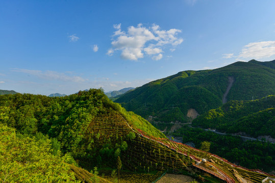 神農(nóng)架風(fēng)光