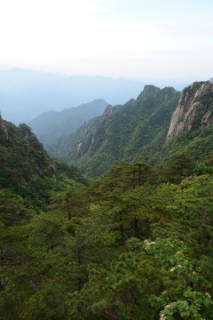 黃山