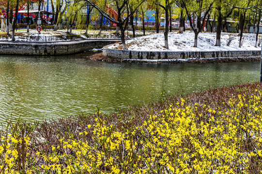 春天的中國長春市兒童公園景觀