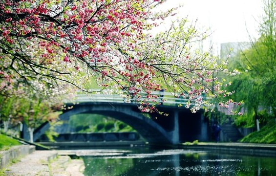 春日小景