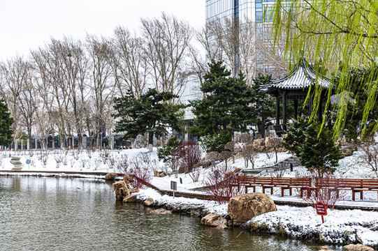鮮花與雪花爭(zhēng)艷