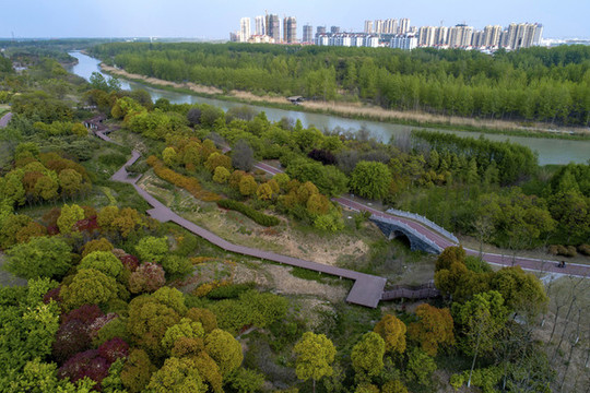 江蘇省淮安市古河國家濕地公園