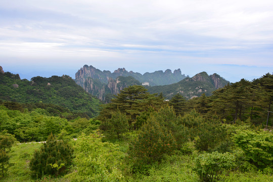 黃山