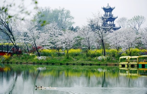花鄉(xiāng)春色