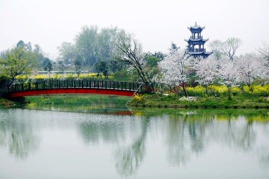 花鄉(xiāng)春色