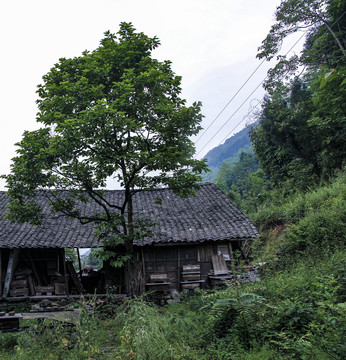 山村老房子