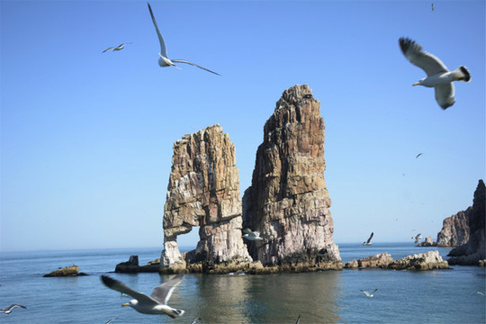 海洋海島動(dòng)物和海景