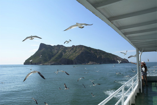 海洋海島動(dòng)物和海景