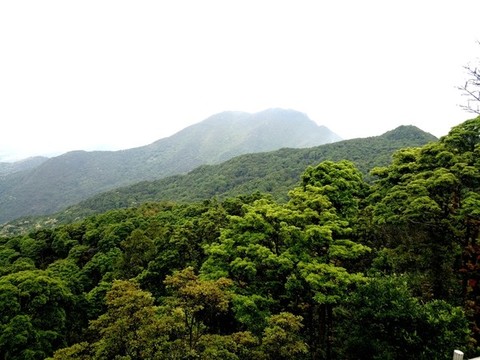 梧桐山風(fēng)光