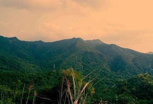 深圳梧桐山