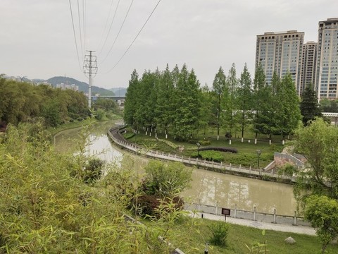 公園綠植