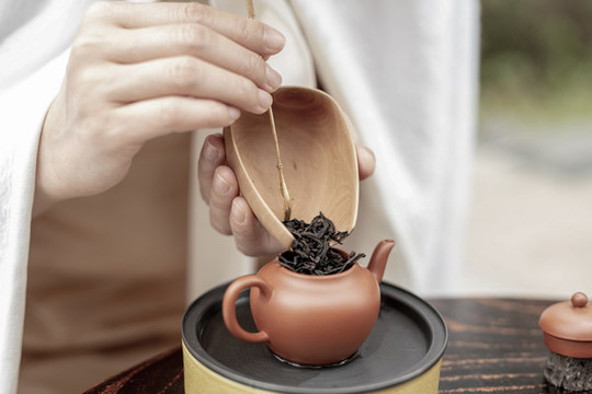 茶藝師正在泡茶
