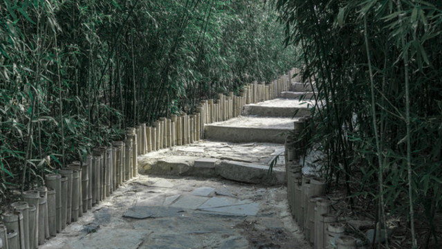 小道