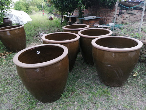 農(nóng)家釀酒缸