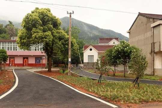 農(nóng)村公路戶戶通