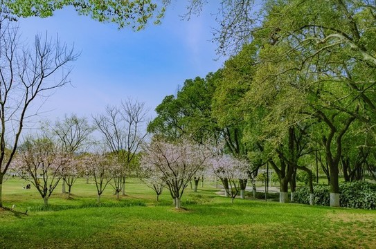 江陰芙蓉湖