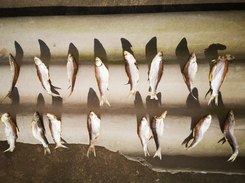小魚(yú)干