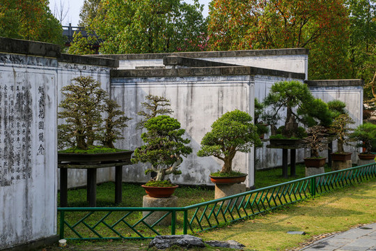 棠樾鮑家花園