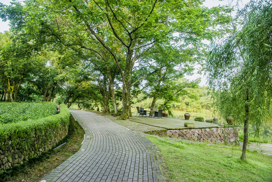 綠道