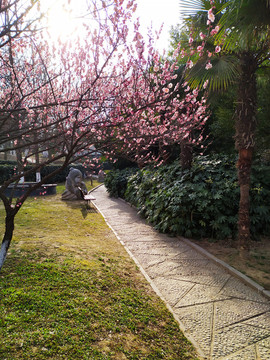 公園小路