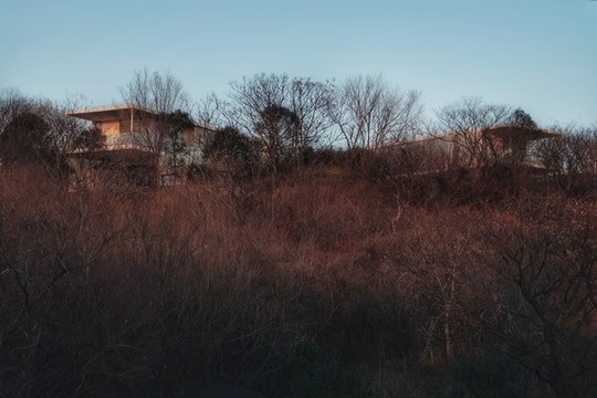 山野風(fēng)光