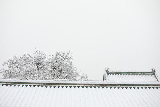 雪中宮墻