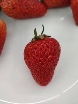 草莓