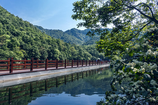 山水景色