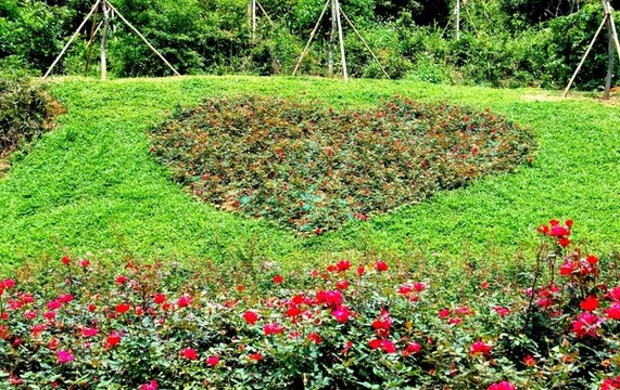 花卉裝飾