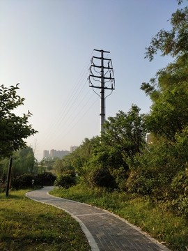 公園電線桿