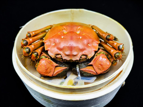 陽澄湖大閘蟹