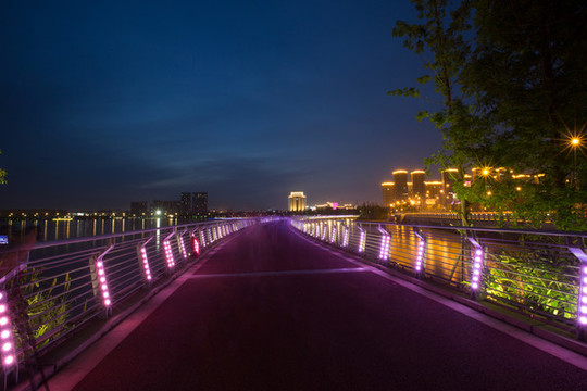 橋上夜景