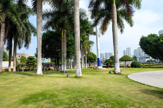 公園