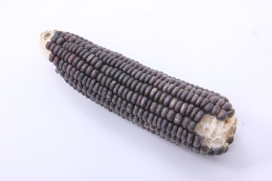 玉米