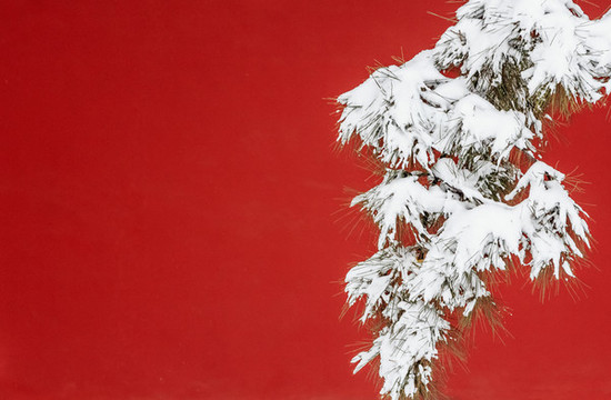 晉祠博物館景區(qū)雪后風(fēng)光